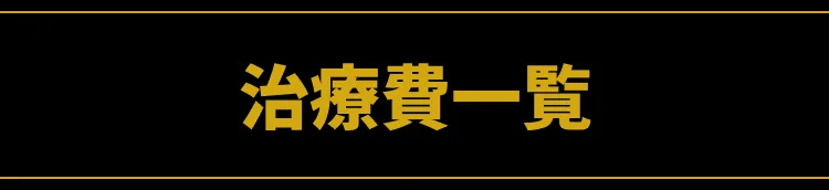 治療費一覧